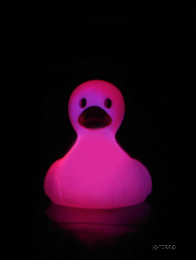 pink duck baby