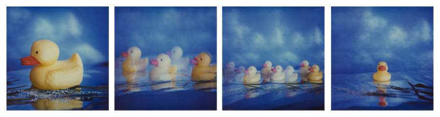 ducks in a row pop art